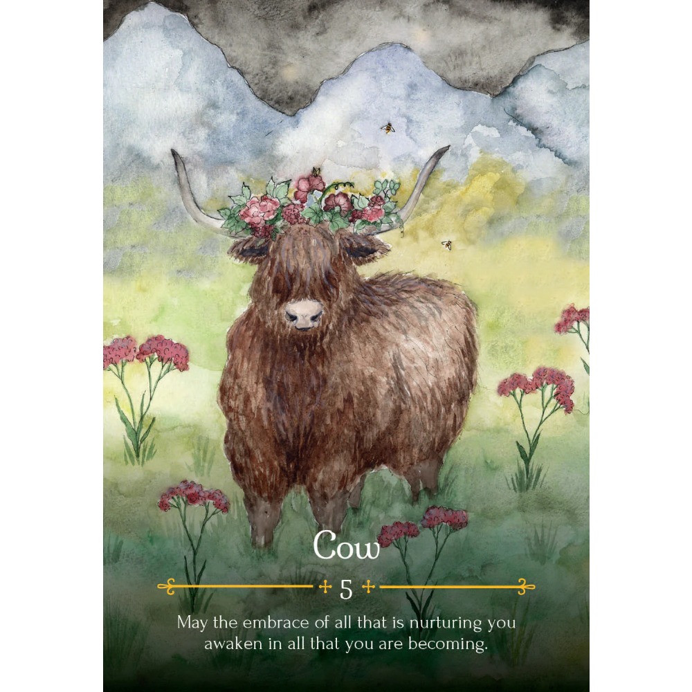마녀의 시즌 오라클 카드, 11*6.5cm, Belta - Tarot Deck With Guidebook 리뷰 및 가격